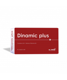 Dinamic Plus